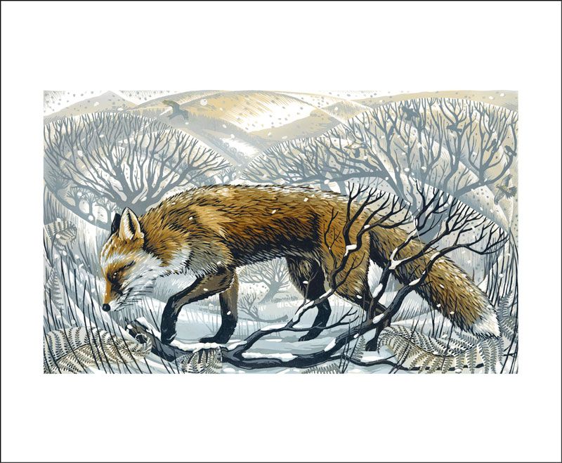 Image Description of "Card- Martin Truefitt - Baker - Winter Fox".