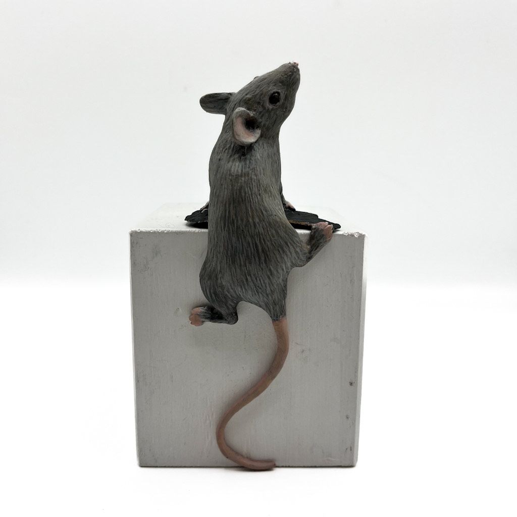 Image Description of "Oswaldo Merchor - Climbing Mouse".