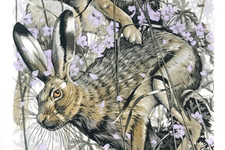 Martin Truefitt-Baker - Hares in Meadow Cranesbill.jpg