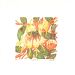 Beth Knight - Gwyddfid (Honeysuckle)