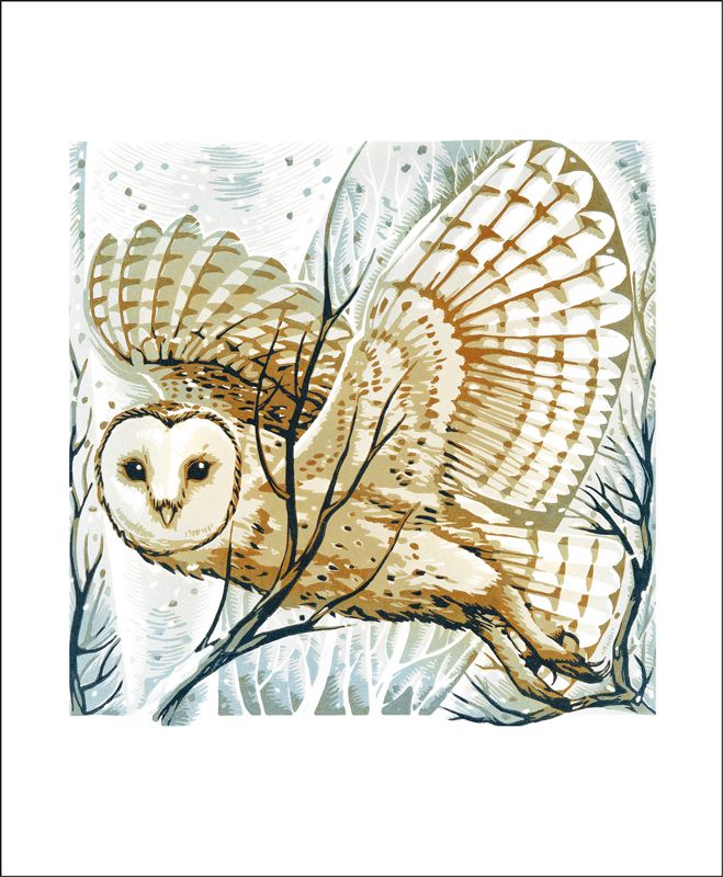 Image Description of "Card- Martin Truefitt-Baker - Barn Owl Winter Branches".