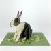 Alive Melvin - Pop Out Pet Rabbit