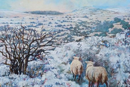 Jantien Powell . Bit nippy today Sian! WEB.jpg