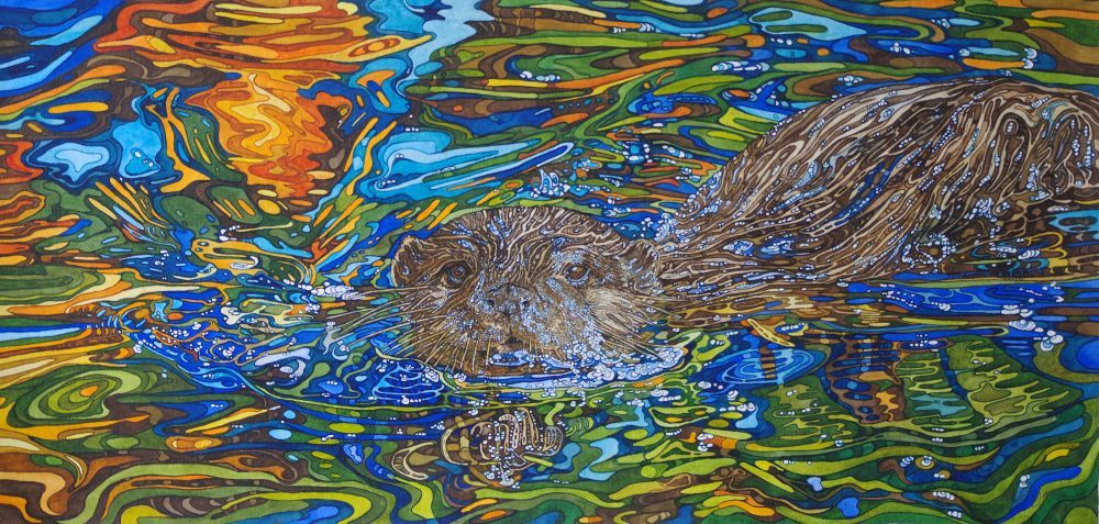 Rhian Symes - Otter in Reflection of Autumn Leaves