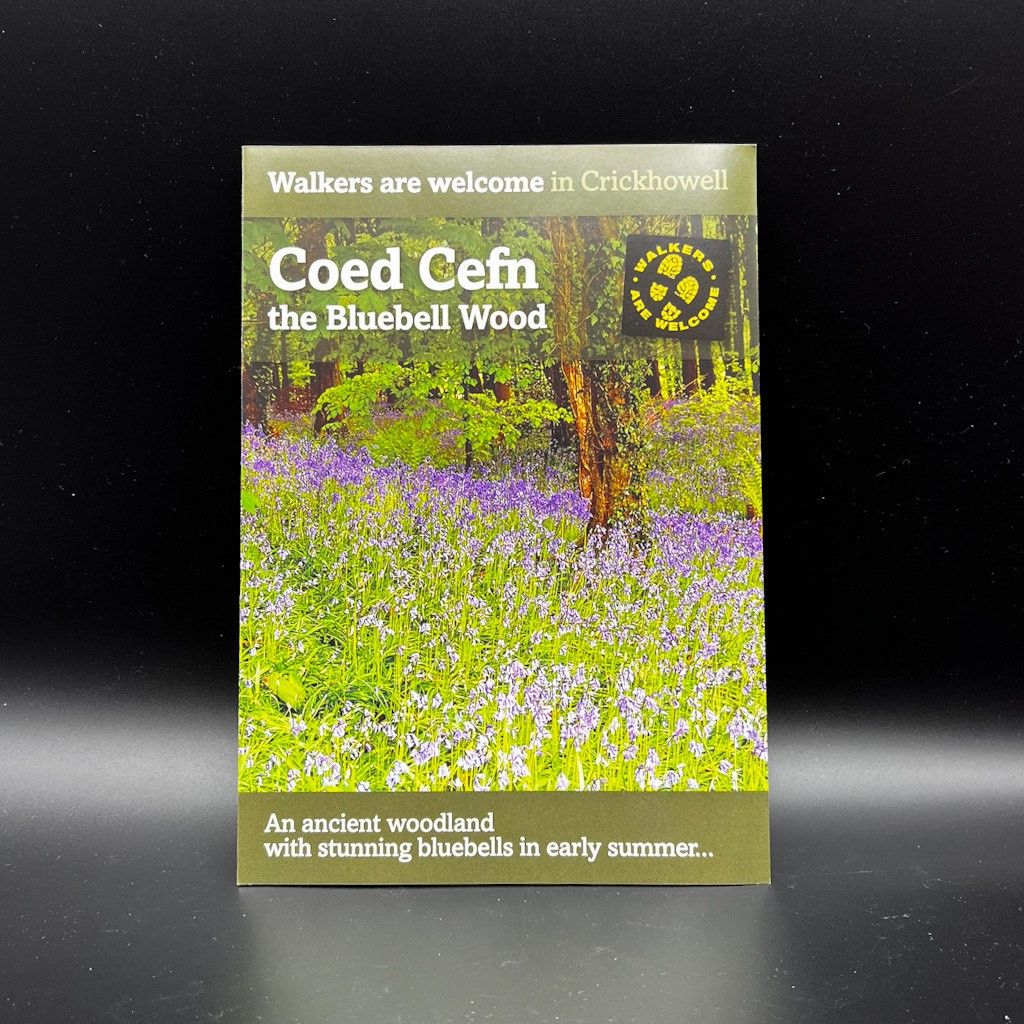 Coed Cefn – The Bluebell Wood