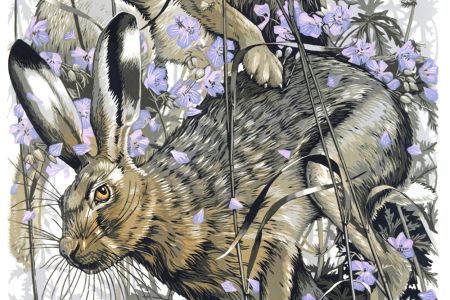 Martin Truefitt-Baker - Hares and Meadow Cranesbill web.jpg