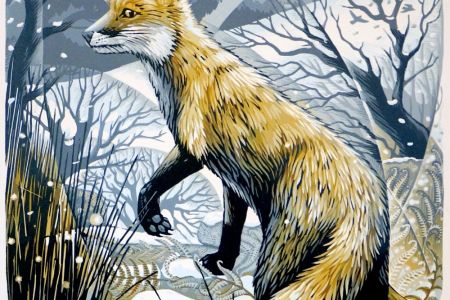 Martin Truefitt-Baker - Snow Fox (webC).jpg