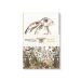 Notebook - Wildflower Hare Notebook