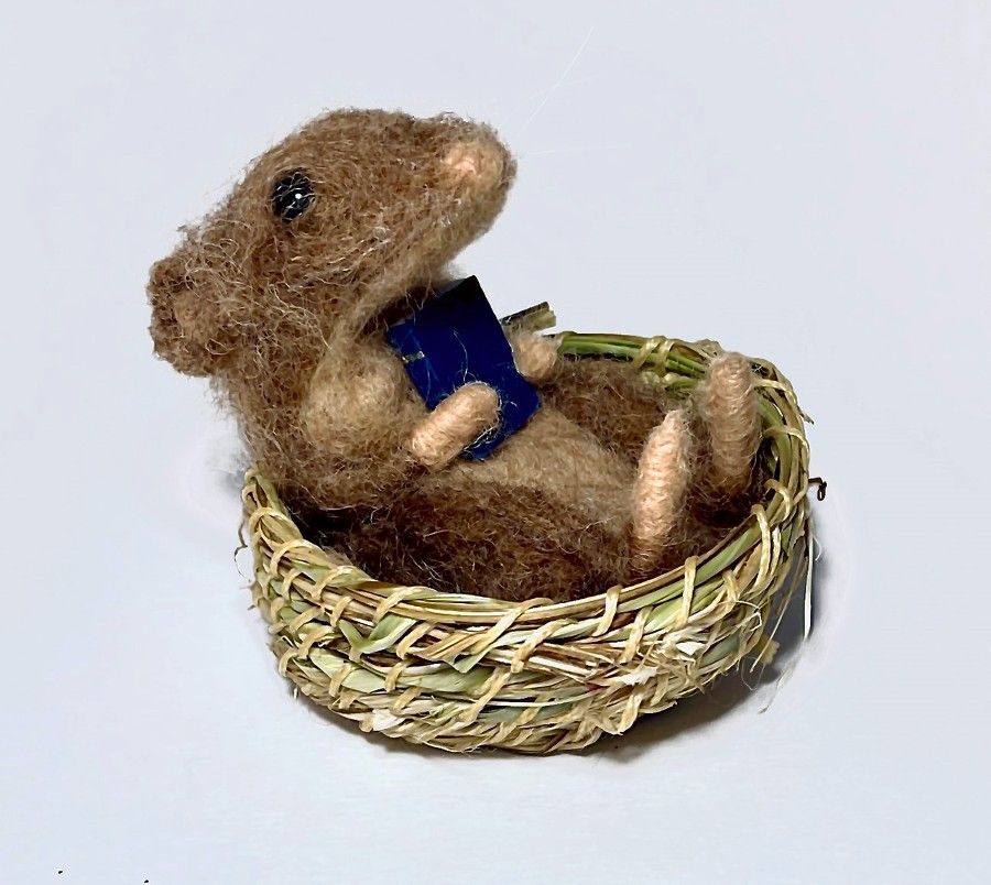 Image Description of "Karin Celestine - Reading Mouse in Bed".