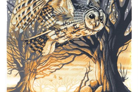 Martin Truefitt-Baker - Tawny Owl Twilight.jpg