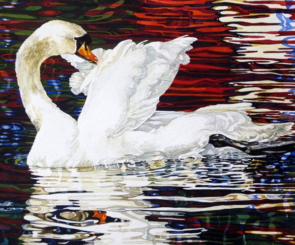 rhian symes swan magic 24x21 image inches web.jpg