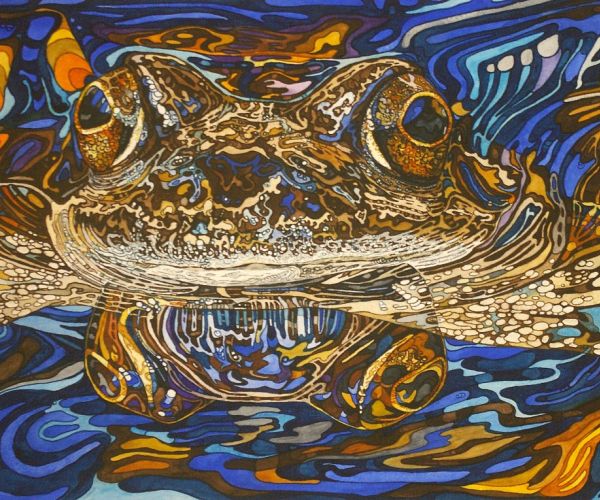 Rhian Symes Freda Frog.jpg
