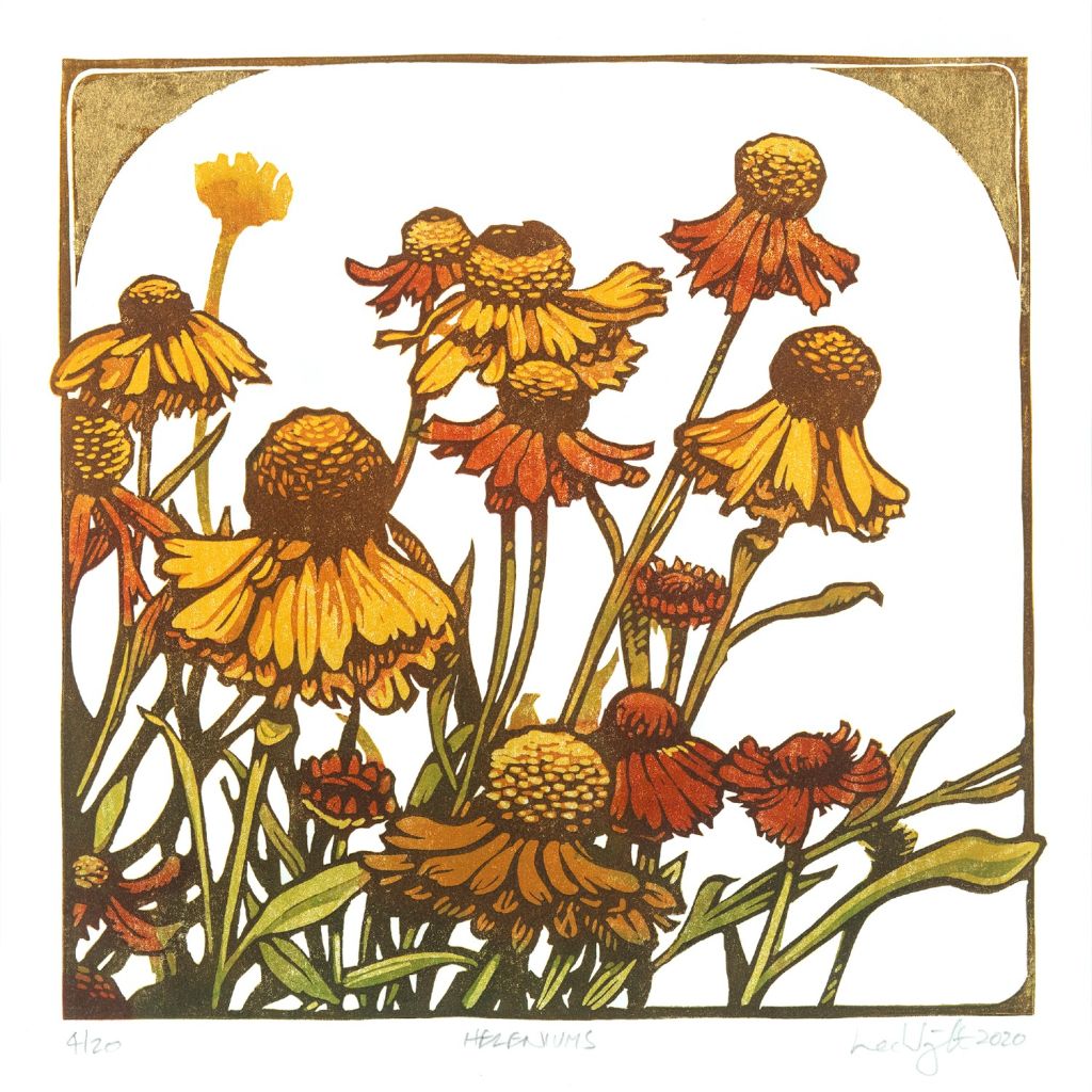 Image Description of "Lee Wright - Heleniums".