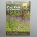 Coed Cefn – The Bluebell Wood