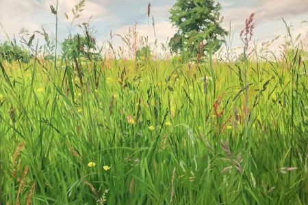 Chris Williams Summer Meadow oil om linen 53x43cm £600 WEB.jpg