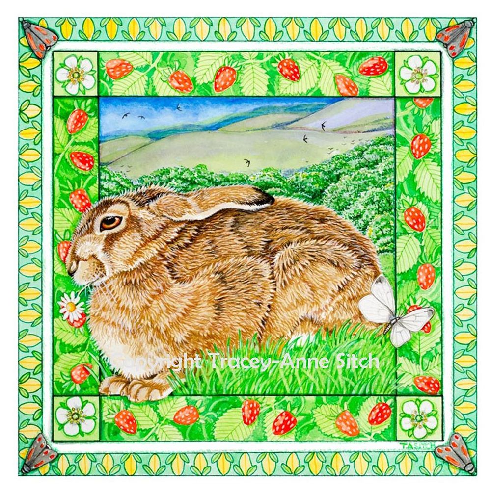 Image Description of "Tracey-Anne Sitch – 'Summer Hare'".