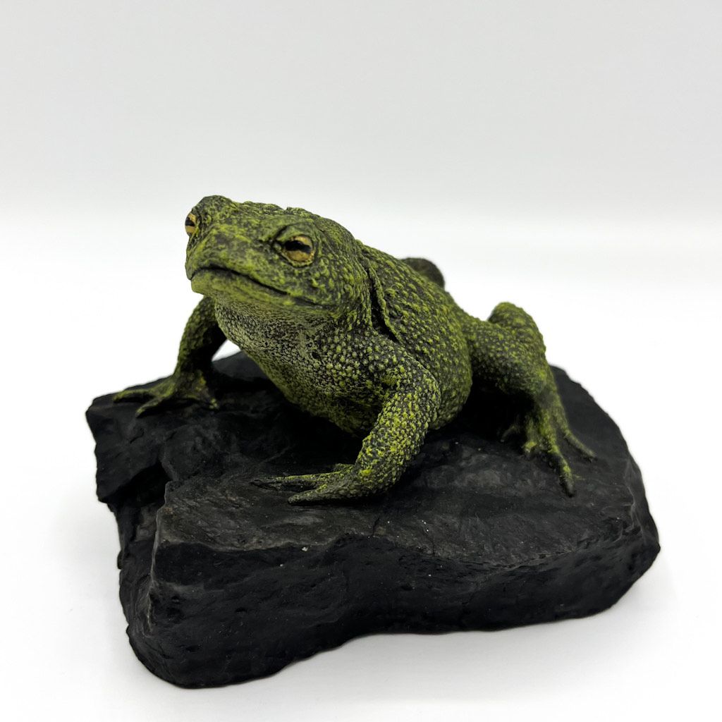 Image Description of "Oswaldo Merchor - Toad on a Stone".