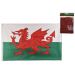 Welsh Gifts - Wales Flag