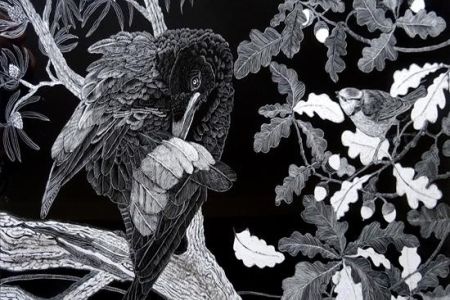 Kay Leverton -conversation rook and blue tit.jpg