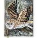 Angela Harding - Marsh Owl Address Book
