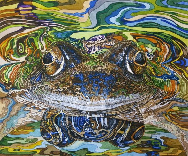 Rhian Symes Freddy the Frog Bright Eyes Original Watercolour Painting 12 x 14 £595.jpg