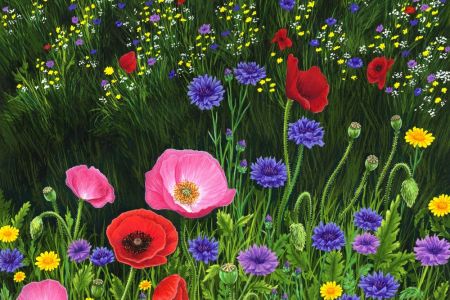 Kate Broadhurst Meadow Dance web.jpg