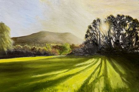 Matt Williams Autumn Sun at Castle Meadows web.jpg